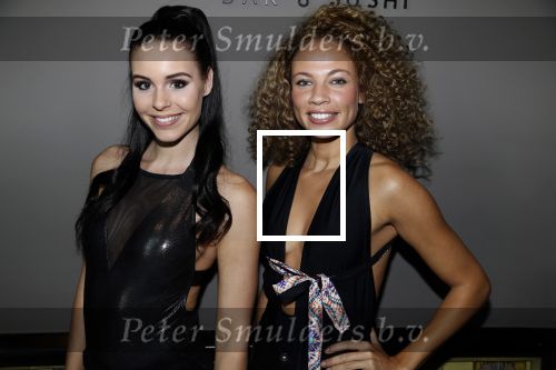 Amsterdam 16 april 2018
Boekpresentatie Fajah Lourens in het conservatorium Hotel.