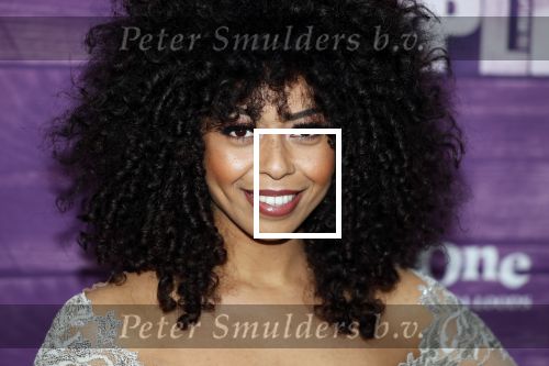 Amsterdam 16 april 2018
Premiere the color purple in de NDSM loods. Fenna Ramos