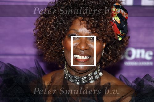 Amsterdam 16 april 2018
Premiere the color purple in de NDSM loods. Gerda Havertong kwam met haar dochter