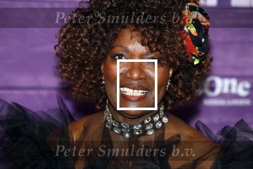 Amsterdam 16 april 2018
Premiere the color purple in de NDSM loods. Gerda Havertong kwam met haar dochter