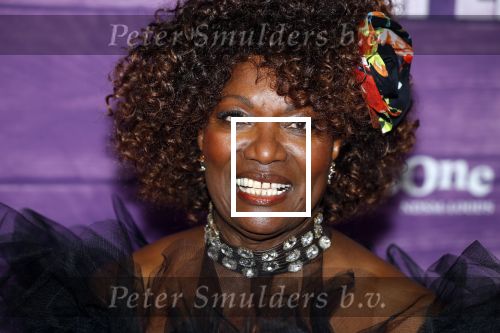 Amsterdam 16 april 2018
Premiere the color purple in de NDSM loods. Gerda Havertong kwam met haar dochter