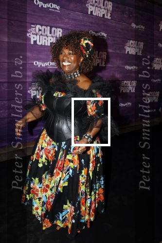 Amsterdam 16 april 2018
Premiere the color purple in de NDSM loods. Gerda Havertong kwam met haar dochter