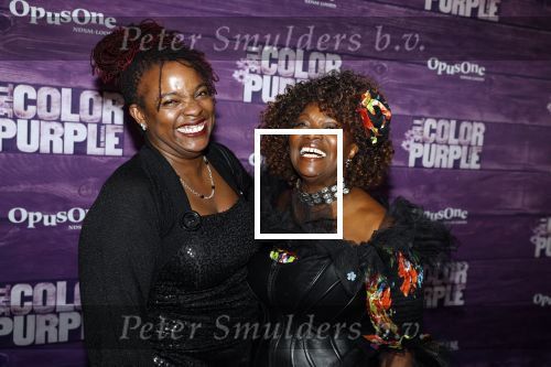 Amsterdam 16 april 2018
Premiere the color purple in de NDSM loods. Gerda Havertong kwam met haar dochter