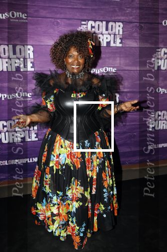 Amsterdam 16 april 2018
Premiere the color purple in de NDSM loods. Gerda Havertong kwam met haar dochter