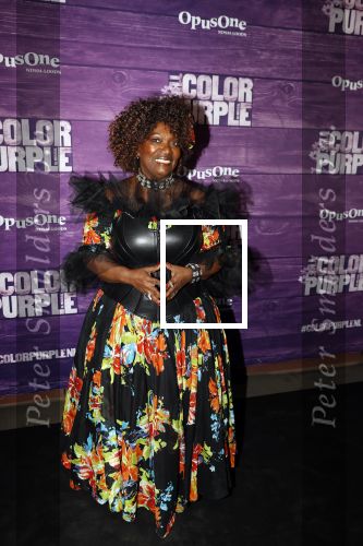 Amsterdam 16 april 2018
Premiere the color purple in de NDSM loods. Gerda Havertong kwam met haar dochter