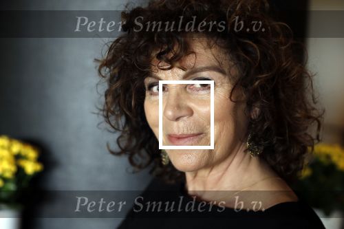 Noordwijk 9 april 2018
Uitreiking en lunch van de strong woman award in hotel Huis ter Duin. Henriette Tol