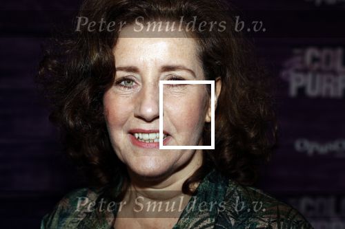 Amsterdam 16 april 2018
Premiere the color purple in de NDSM loods. Minister van Cultuur, onderwijs en wetenschap. Mevrouw Ingrid van Engelshoven