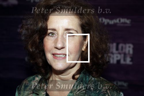 Amsterdam 16 april 2018
Premiere the color purple in de NDSM loods. Minister van Cultuur, onderwijs en wetenschap. Mevrouw Ingrid van Engelshoven