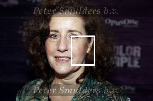 Amsterdam 16 april 2018
Premiere the color purple in de NDSM loods. Minister van Cultuur, onderwijs en wetenschap. Mevrouw Ingrid van Engelshoven