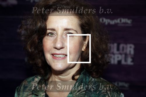 Amsterdam 16 april 2018
Premiere the color purple in de NDSM loods. Minister van Cultuur, onderwijs en wetenschap. Mevrouw Ingrid van Engelshoven