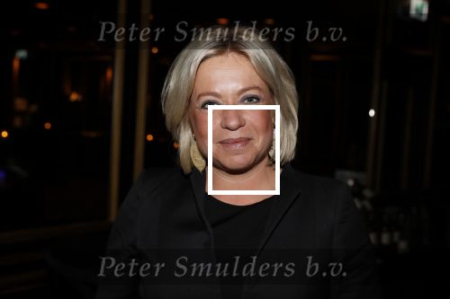Noordwijk 9 april 2018
Uitreiking en lunch van de strong woman award in hotel Huis ter Duin. Jeanine Hennis Plasschaert