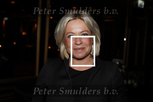 Noordwijk 9 april 2018
Uitreiking en lunch van de strong woman award in hotel Huis ter Duin. Jeanine Hennis Plasschaert