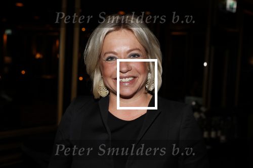 Noordwijk 9 april 2018
Uitreiking en lunch van de strong woman award in hotel Huis ter Duin. Jeanine Hennis Plasschaert