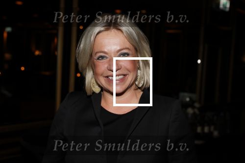 Noordwijk 9 april 2018
Uitreiking en lunch van de strong woman award in hotel Huis ter Duin. Jeanine Hennis Plasschaert