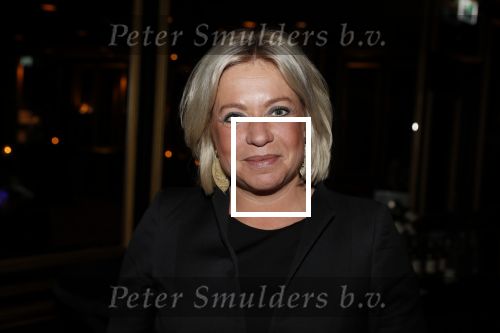Noordwijk 9 april 2018
Uitreiking en lunch van de strong woman award in hotel Huis ter Duin. Jeanine Hennis Plasschaert