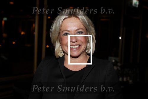 Noordwijk 9 april 2018
Uitreiking en lunch van de strong woman award in hotel Huis ter Duin. Jeanine Hennis Plasschaert