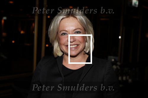 Noordwijk 9 april 2018
Uitreiking en lunch van de strong woman award in hotel Huis ter Duin. Jeanine Hennis Plasschaert