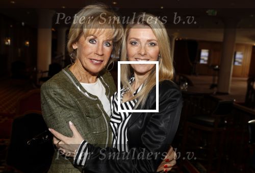 Noordwijk 9 april 2018
Uitreiking en lunch van de strong woman award in hotel Huis ter Duin. Joke Bruijs