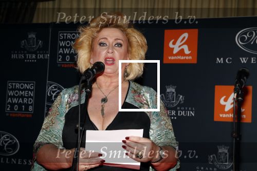Noordwijk 9 april 2018
Uitreiking en lunch van de strong woman award in hotel Huis ter Duin. karin Bloemen en Astrid Joosten