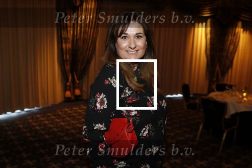 Noordwijk 9 april 2018
Uitreiking en lunch van de strong woman award in hotel Huis ter Duin. Laura Vlasblom