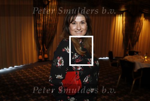 Noordwijk 9 april 2018
Uitreiking en lunch van de strong woman award in hotel Huis ter Duin. Laura Vlasblom