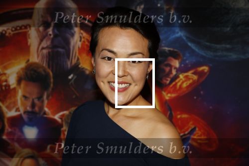 Amsterdam 24 april 2018
Premiere Avengers in pathe Arena. Lavinia Meijer en partne