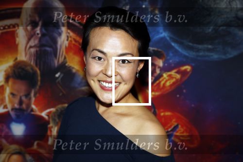Amsterdam 24 april 2018
Premiere Avengers in pathe Arena. Lavinia Meijer en partne