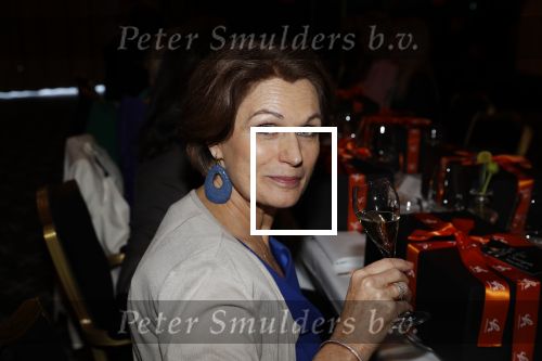 Noordwijk 9 april 2018
Uitreiking en lunch van de strong woman award in hotel Huis ter Duin. Liz Snoijink