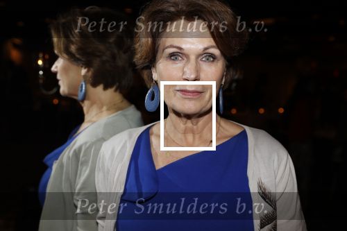 Noordwijk 9 april 2018
Uitreiking en lunch van de strong woman award in hotel Huis ter Duin. Liz Snoijink