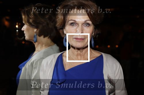 Noordwijk 9 april 2018
Uitreiking en lunch van de strong woman award in hotel Huis ter Duin. Liz Snoijink