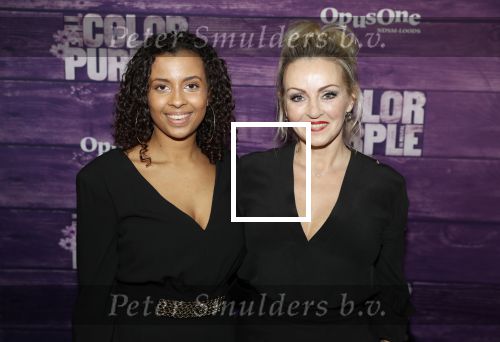 Amsterdam 16 april 2018
Premiere the color purple in de NDSM loods. Lone v Roosendaal