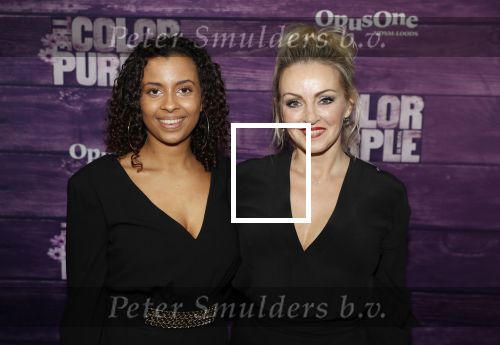 Amsterdam 16 april 2018
Premiere the color purple in de NDSM loods. Lone v Roosendaal
