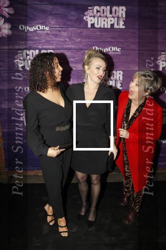Amsterdam 16 april 2018
Premiere the color purple in de NDSM loods. Lone v Roosendaal