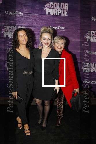 Amsterdam 16 april 2018
Premiere the color purple in de NDSM loods. Lone v Roosendaal