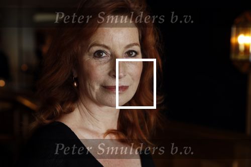 Noordwijk 9 april 2018
Uitreiking en lunch van de strong woman award in hotel Huis ter Duin. Marian Mudder