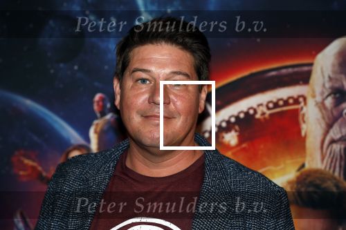 Amsterdam 24 april 2018
Premiere Avengers in pathe Arena. Martijn Krabbe met zoon Bickel en dochter Michelle