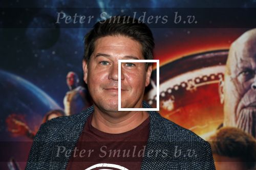 Amsterdam 24 april 2018
Premiere Avengers in pathe Arena. Martijn Krabbe met zoon Bickel en dochter Michelle
