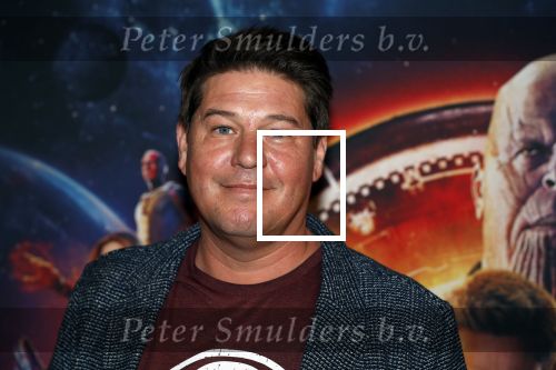 Amsterdam 24 april 2018
Premiere Avengers in pathe Arena. Martijn Krabbe met zoon Bickel en dochter Michelle