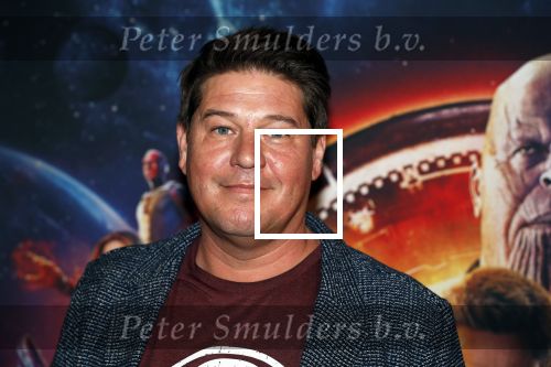 Amsterdam 24 april 2018
Premiere Avengers in pathe Arena. Martijn Krabbe met zoon Bickel en dochter Michelle