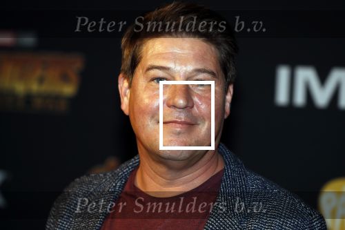 Amsterdam 24 april 2018
Premiere Avengers in pathe Arena. Martijn Krabbe met zoon Bickel en dochter Michelle