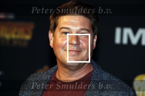 Amsterdam 24 april 2018
Premiere Avengers in pathe Arena. Martijn Krabbe met zoon Bickel en dochter Michelle