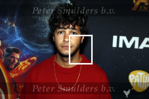 Amsterdam 24 april 2018
Premiere Avengers in pathe Arena. Milan Carvalho