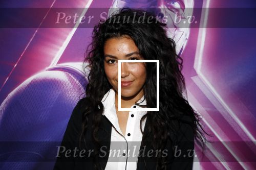 Amsterdam 24 april 2018
Premiere Avengers in pathe Arena. Moise Trustfull