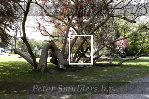 Soestdijk 26 april 2018
Pia Douwes op paleis Soestdijk.