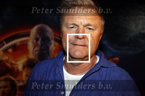 Amsterdam 24 april 2018
Premiere Avengers in pathe Arena. Rene Mioch