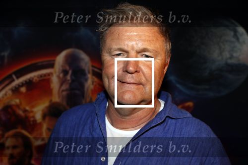 Amsterdam 24 april 2018
Premiere Avengers in pathe Arena. Rene Mioch