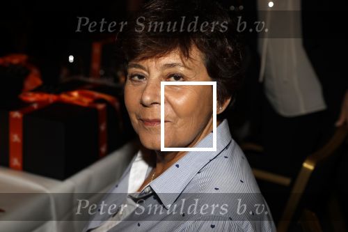 Noordwijk 9 april 2018
Uitreiking en lunch van de strong woman award in hotel Huis ter Duin. Rita Verdonk