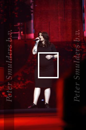 Amsterdam 14 april 2018
Heel holland zingt Hazes in het ziggo dome met oa Andre Hazes Jr Jeroen v d Boom Xander de Buisonje Roxeanne Hazes (zwanger) Peter Beense Trijntje Oosterhuis Danny de Munk Silver Metz en Barry Hay.