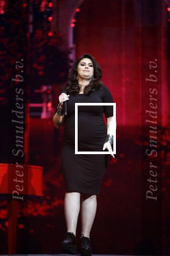 Amsterdam 14 april 2018
Heel holland zingt Hazes in het ziggo dome met oa Andre Hazes Jr Jeroen v d Boom Xander de Buisonje Roxeanne Hazes (zwanger) Peter Beense Trijntje Oosterhuis Danny de Munk Silver Metz en Barry Hay.