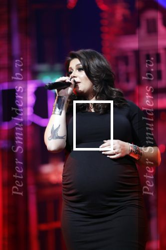 Amsterdam 14 april 2018
Heel holland zingt Hazes in het ziggo dome met oa Andre Hazes Jr Jeroen v d Boom Xander de Buisonje Roxeanne Hazes (zwanger) Peter Beense Trijntje Oosterhuis Danny de Munk Silver Metz en Barry Hay.